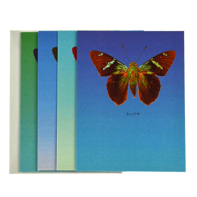 Walter Knabe Notecard Set Butterfly Variety