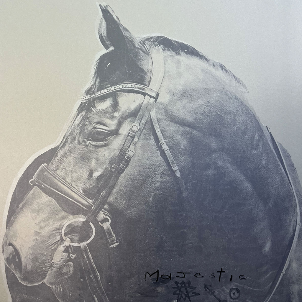 Walter Knabe Artwork Majestic Elegance Unique Screenprint with Hand Painting